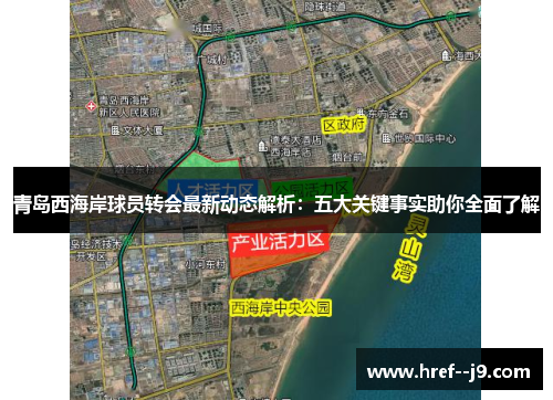 青岛西海岸球员转会最新动态解析：五大关键事实助你全面了解