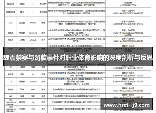 魏震禁赛与罚款事件对职业体育影响的深度剖析与反思