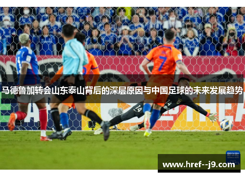 马德鲁加转会山东泰山背后的深层原因与中国足球的未来发展趋势