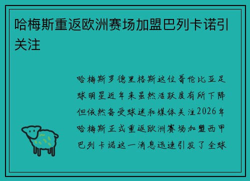 哈梅斯重返欧洲赛场加盟巴列卡诺引关注 哈梅斯重返欧洲赛场加盟巴列卡诺引关注