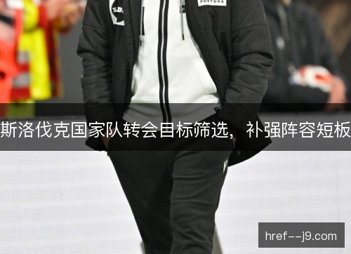 斯洛伐克国家队转会目标筛选，补强阵容短板